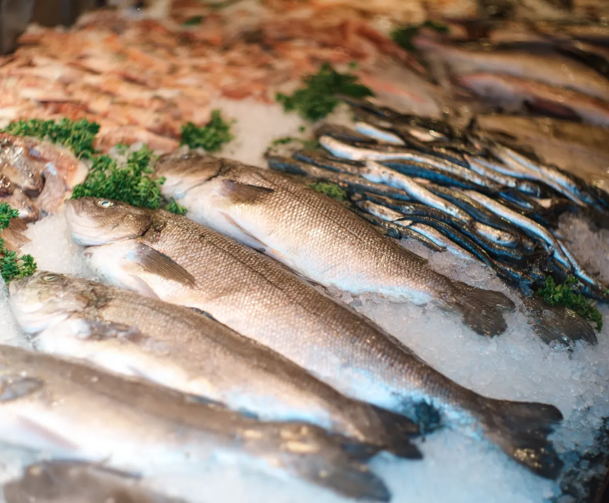fresh fish and seafood market display illustrating a mediterranean diet food list with sea bass sardines and salmon